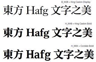 明星 字体,明星字体背后的故事与魅力