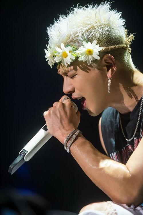 太阳娱乐有哪些艺人,太阳娱乐旗下艺人风采掠影