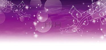 觅食迹 背景音乐,跟随音符探寻自然之美