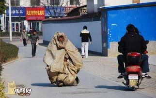 御寒装备搞笑,冬日里的搞笑御寒大作战！”