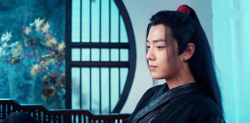 魏无羡个人资料,剑胆琴心，江湖传奇